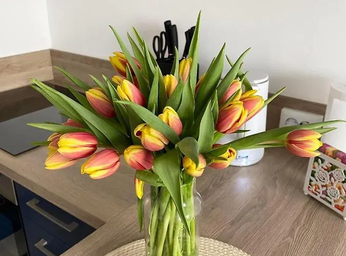 Apartman Barbora